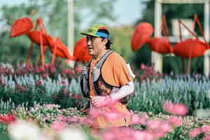 BIB: 
                            <button type="button" onclick="openModal(25934715)" class="btn btn-primary btn-sm float-right btn-popup" data-toggle="modal" data-target=".modal-high-quality">
                        <i class="fas fa-shopping-cart"></i> Add to Cart
                    </button>
                                            <button type="button" onclick="isThisMe(25934715, true)" class="btn btn-success btn-sm float-right btn-popup btn-isme hidden" data-toggle="tooltip" data-placement="bottom" title="นี่คือรูปของคุณใช่ไหม คลิกที่นี่เพื่อเอาเข้าอัลบั้ม">
                        <i class="fas fa-plus"></i> Add to album
                    </button>
                    <button type="button" onclick="isThisMe(25934715, false)" class="btn btn-warning btn-sm float-right btn-popup btn-isnotme hidden">
                        <i class="fas fa-ban"></i> Remove from album
                    </button>